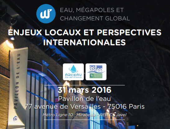 Eau, Mégalopoles Et Changement Global. Enjeux Locaux Et Perspectives Internationales