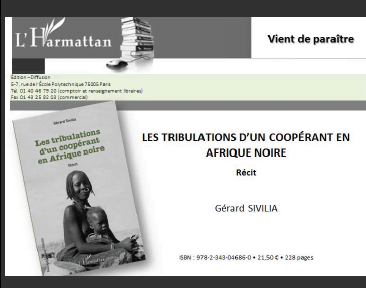 Les tribulations dun cooperant en Afrique Noire